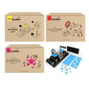 STRAWBEES – IDO LAB